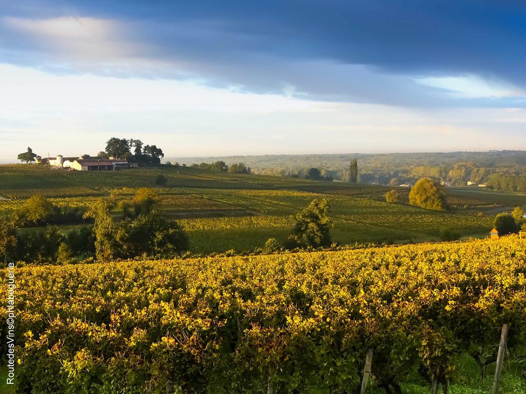 La Sauternaise, Luxury Boutique B&B ソーテルヌ エクステリア 写真